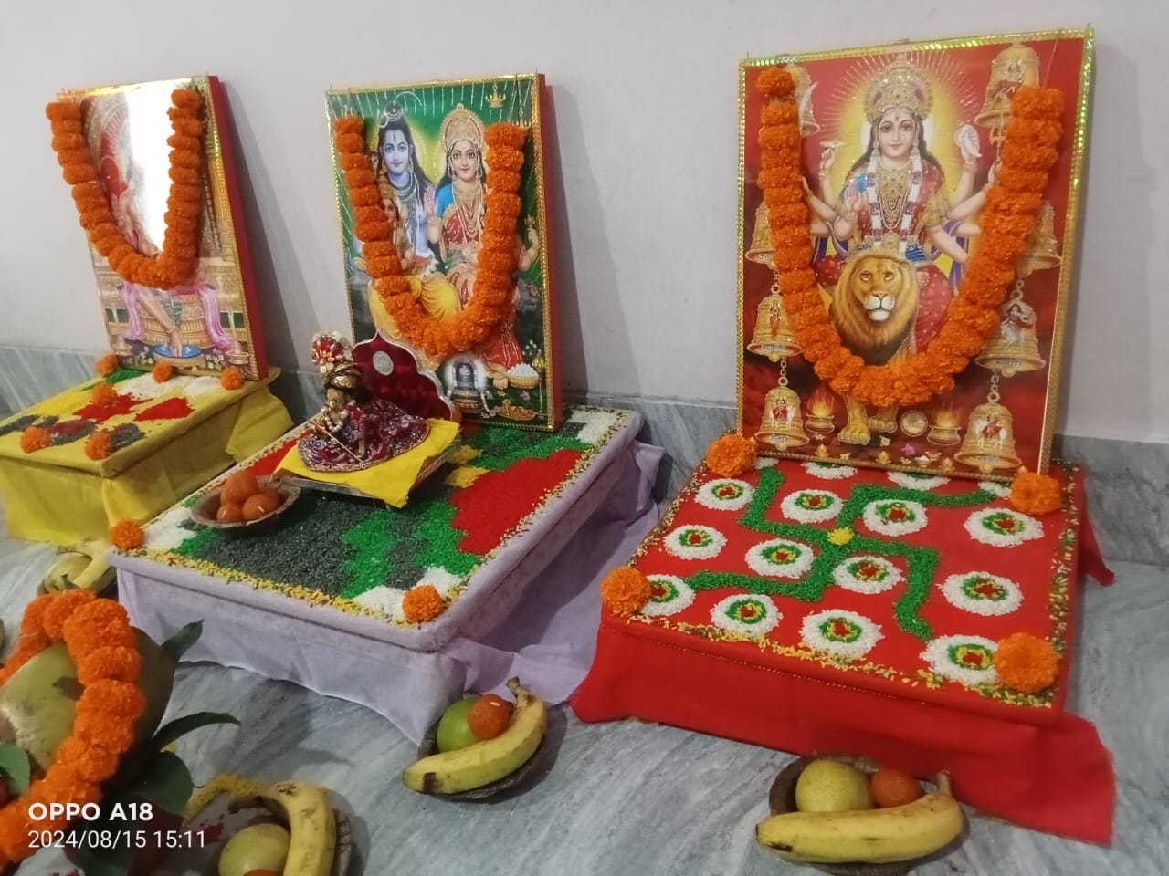 General Vedic Puja with Devotees